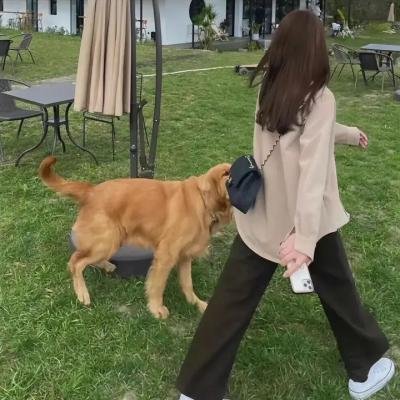 八十龟酱观察日记第二季